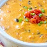 Easy chicken queso dip in a serving bowl topped with diced tomato and green onion