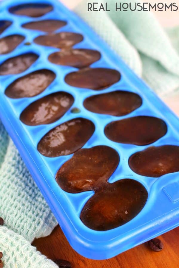 Coffee ice cubes to make an Easy Mocha Protein Shake