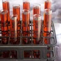 Scare up some fun at your Halloween party with these FORBIDDEN FOREST TEST TUBE SHOTS!
