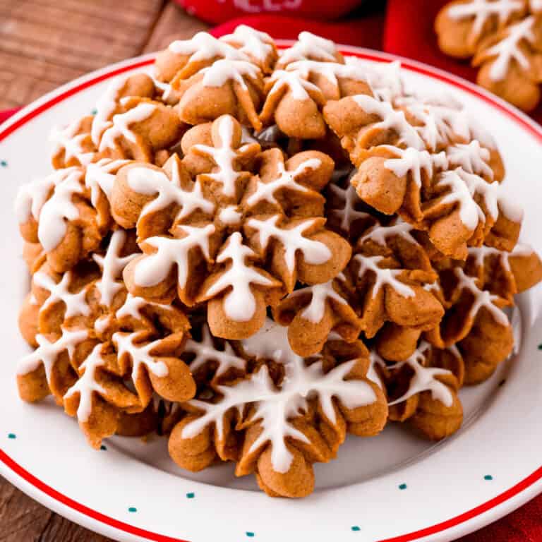 square close up image of a plate of gingerbread spritz cookies