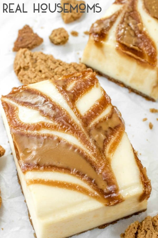 Close up of a Gingersnap Cheesecake Bar with cookie butter swirls