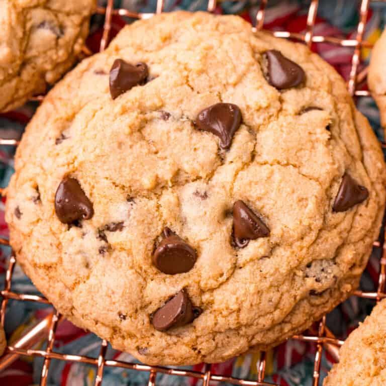 square close up image of a grand floridian chocolate chip cookie