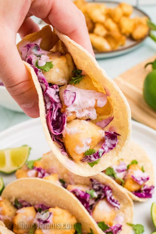 hand holding a halibut taco over the plate