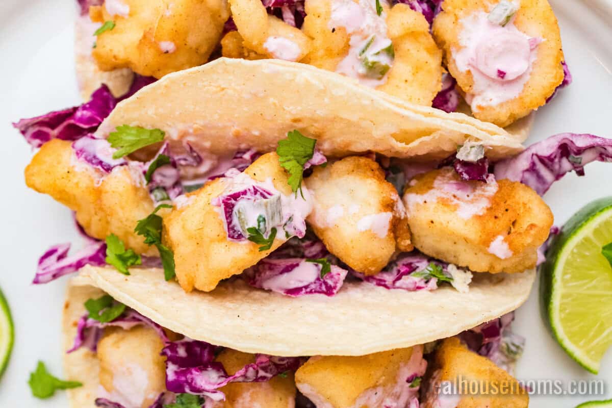 closeup looking down at a halibut taco