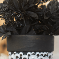 For fun decor that is sure to catch your eye, make a HALLOWEEN GOOGLY EYE PLANTER!
