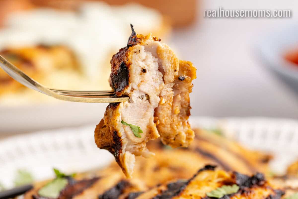 close up of a bite of harissa chicken on a fork over the plate