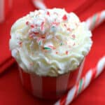 35 Holiday Entertaining Recipes ⋆ Real Housemoms