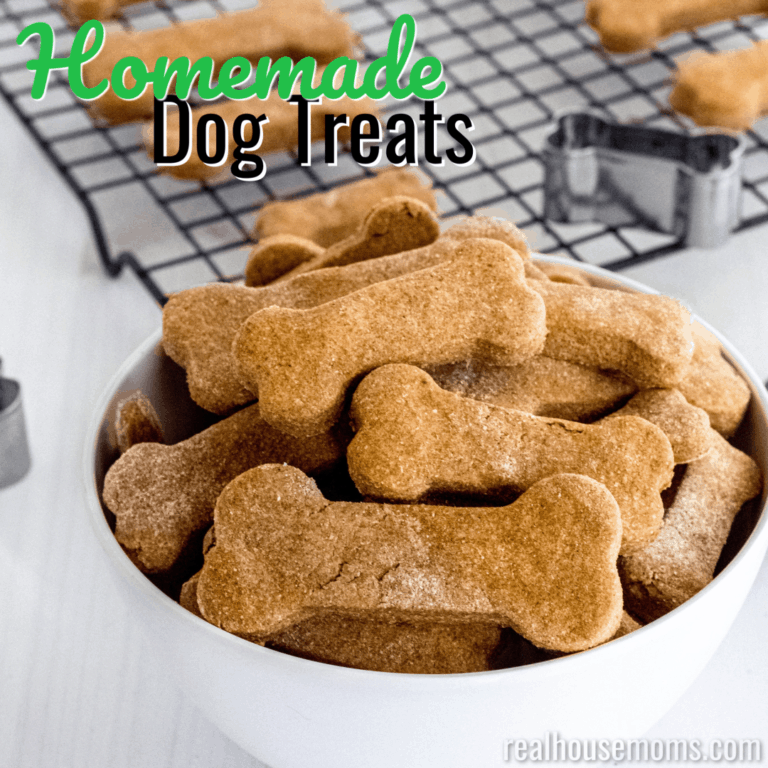 Homemade Dog Treats ⋆ Real Housemoms