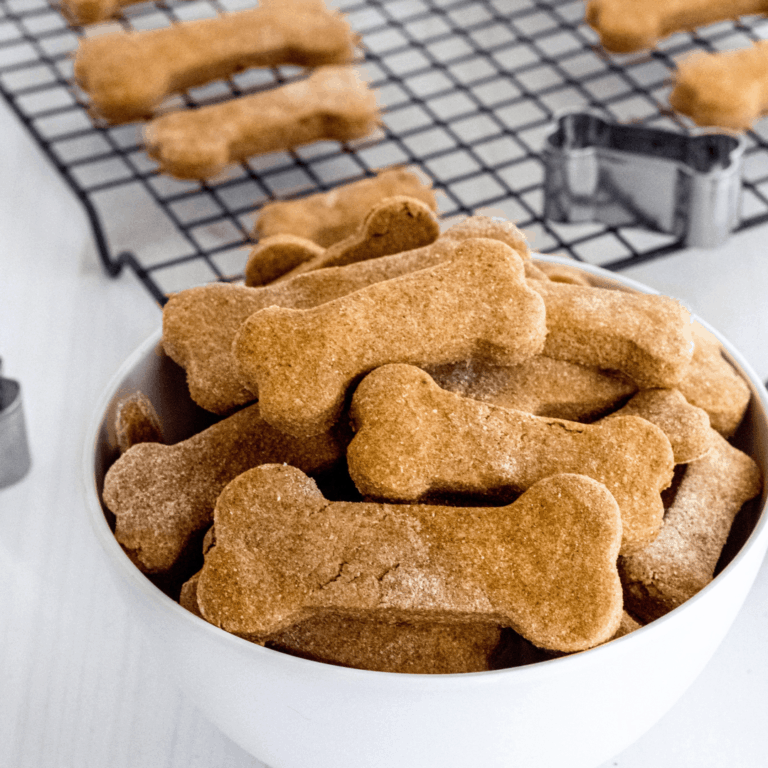 Check out these easy homemade dog treats with whole wheat apple sauce and peanut butter! The best healthy treats to reward your favorite furry friend!