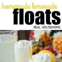 Lemonade Floats pair the season’s most refreshing drink with everyone’s favorite frozen dessert for a sweet and tart treat that’s sure to be a crowd-pleaser!