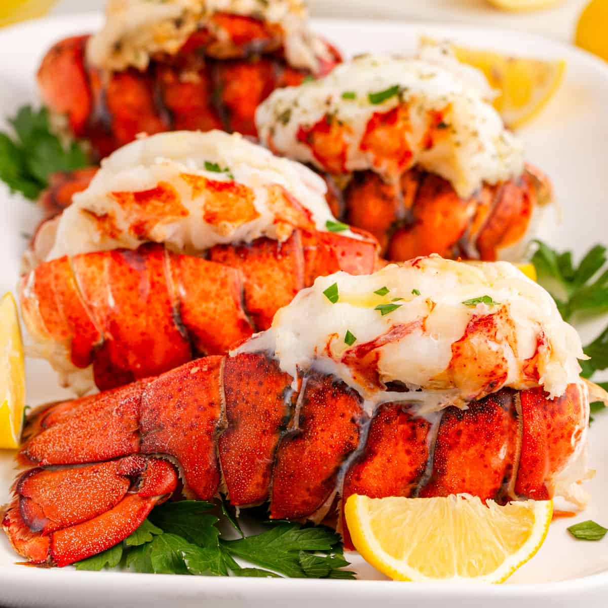 square image of broiled lobster tails on a platter