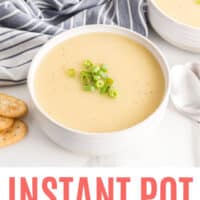 bowl of instant pot potato leek soup with chopped green onion on top with recipe name at bottom