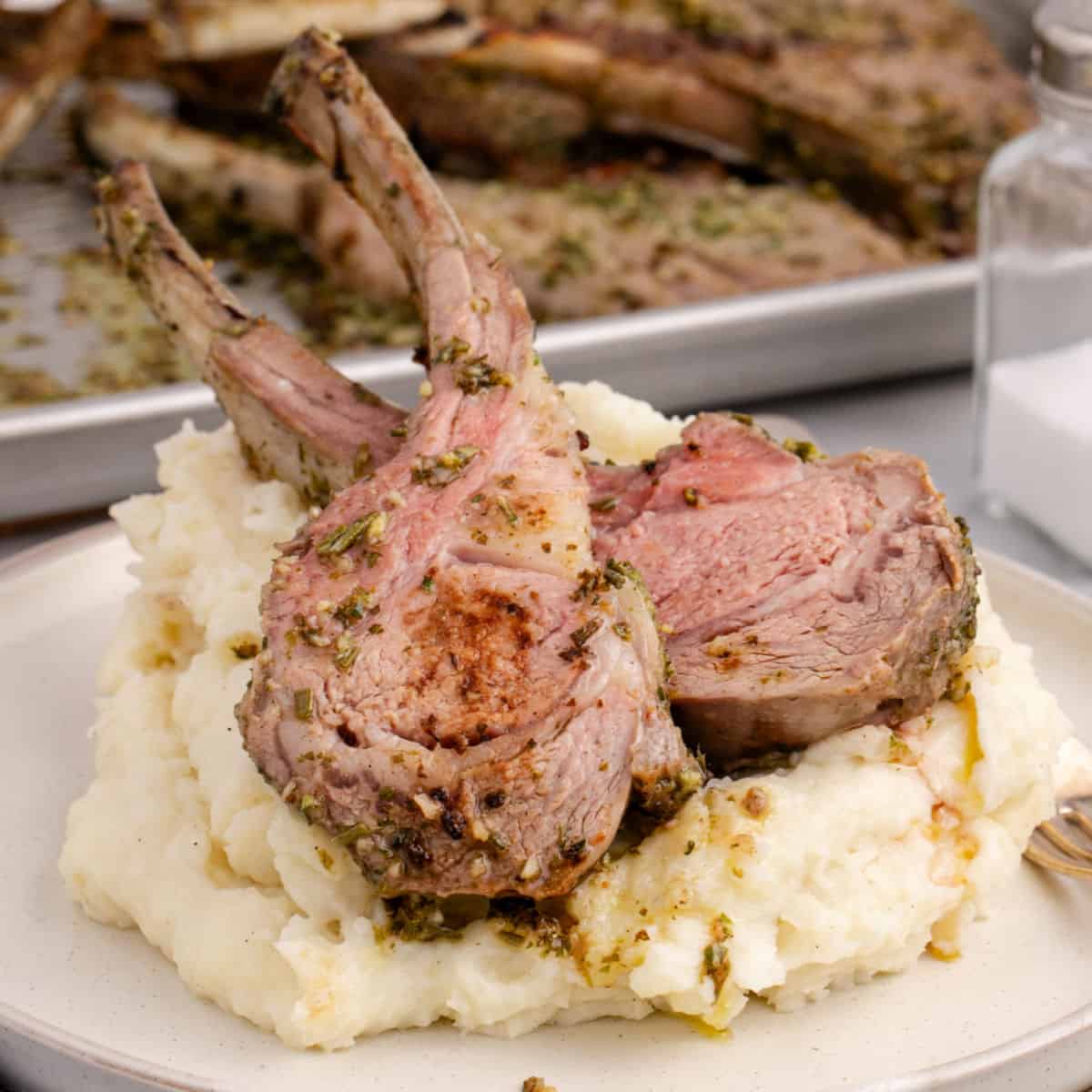 square image of two lamb chops served over mashed potatoes