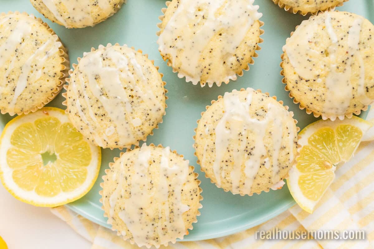 looking down at lemon poppy seed muffins on a light teal plate