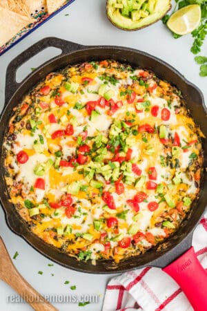 dived avocado and tomatoes, and chopped cilantro sprinkled over a skillet of mexican spinach dip for garnish