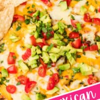 close up image of mexican spinach dip in a skillet with tortilla chips with the title of the post on the bottom of the image