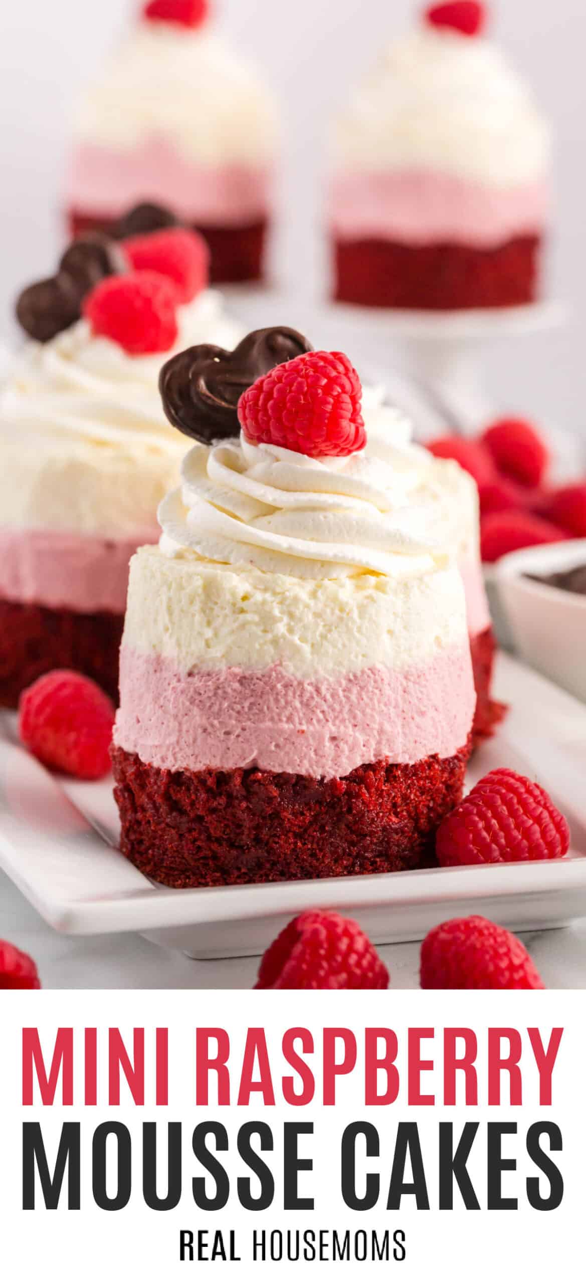Mini Raspberry Mousse Cakes