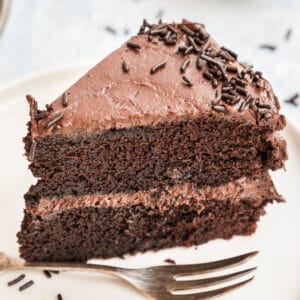 square image of chocolate layer cake on a plate with a fork