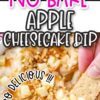 two pics of NO Bake Apple Cheesecake Dip, top pic a close up of a mixing bowl wilth all ingredients, bottom pic is a close up of Dip with a cracker showing the substance