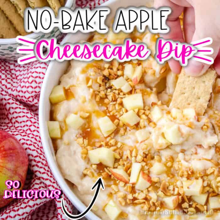 square image of NO Bake Apple Cheesecake Dip, pic showing a white bowl full of Cheesecake Dip with a cracker being dipped