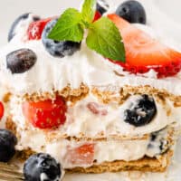 squar eimafe of a berry icebox cake slice with a sprig of mint on top