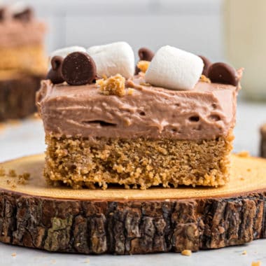 square image of a s'mores cheesecake bar on a cut log plate