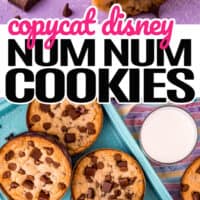Copycat Disney Num Num Cookies - Crazy for Crust