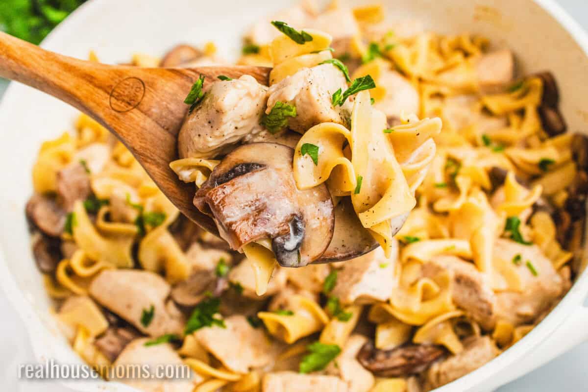spoonful of chicken stroganoff over the skillet