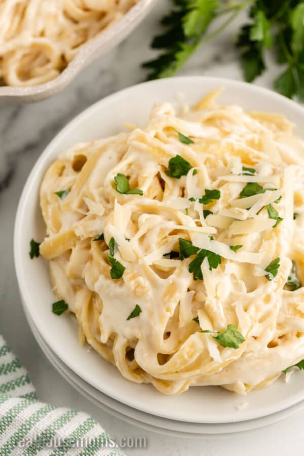 close up of one pot alfredo pasta on a plate topped with parmesan and parsley