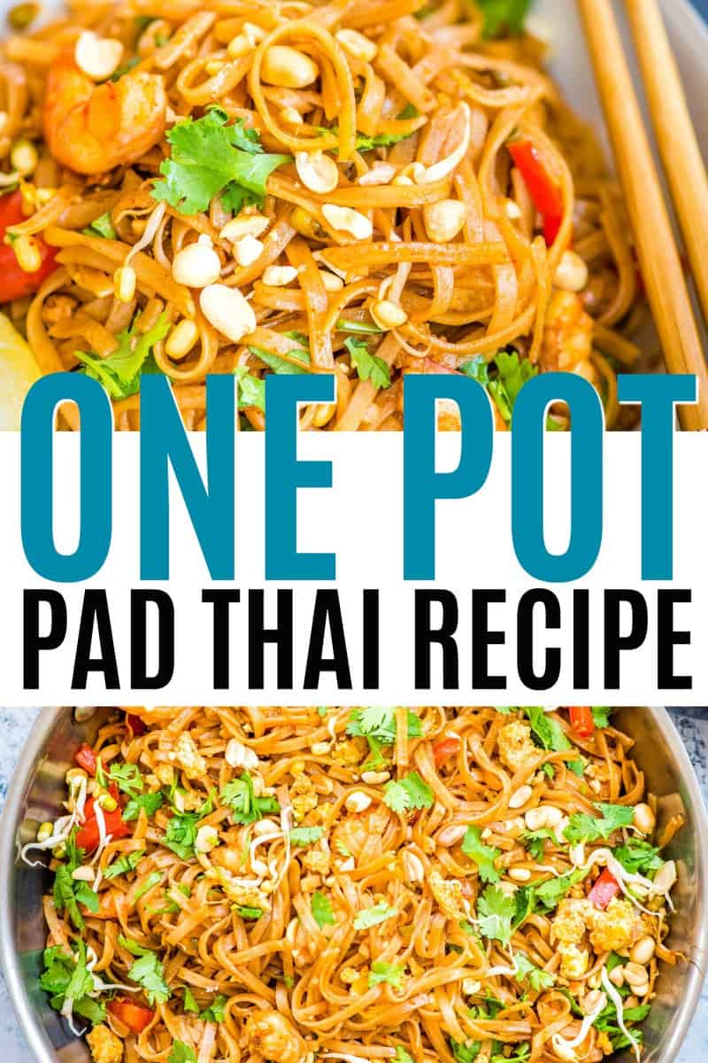 One Pot Pad Thai ⋆ Real Housemoms