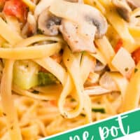spoonful of vegetable pasta over the pot with the title of the post on the bottom left