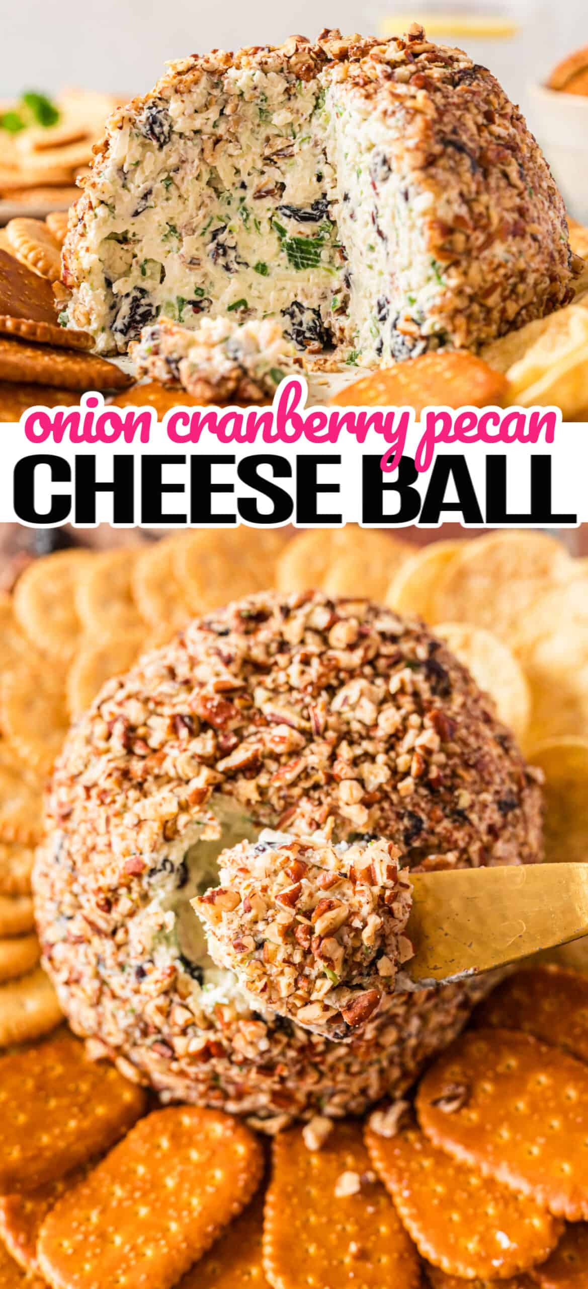 Onion Cranberry Pecan Cheese Ball ⋆ Real Housemoms