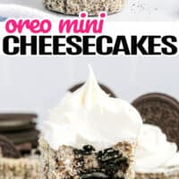 top picture of an oreo mini cheesecake topped with whipped crema and an oreo cookie, bottom is a mini area cheesecake on top of another cheesecake with the post in pink and black lettering