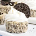 square image of an oreo mini cheesecake topped with whipped crema and an oreo cookie