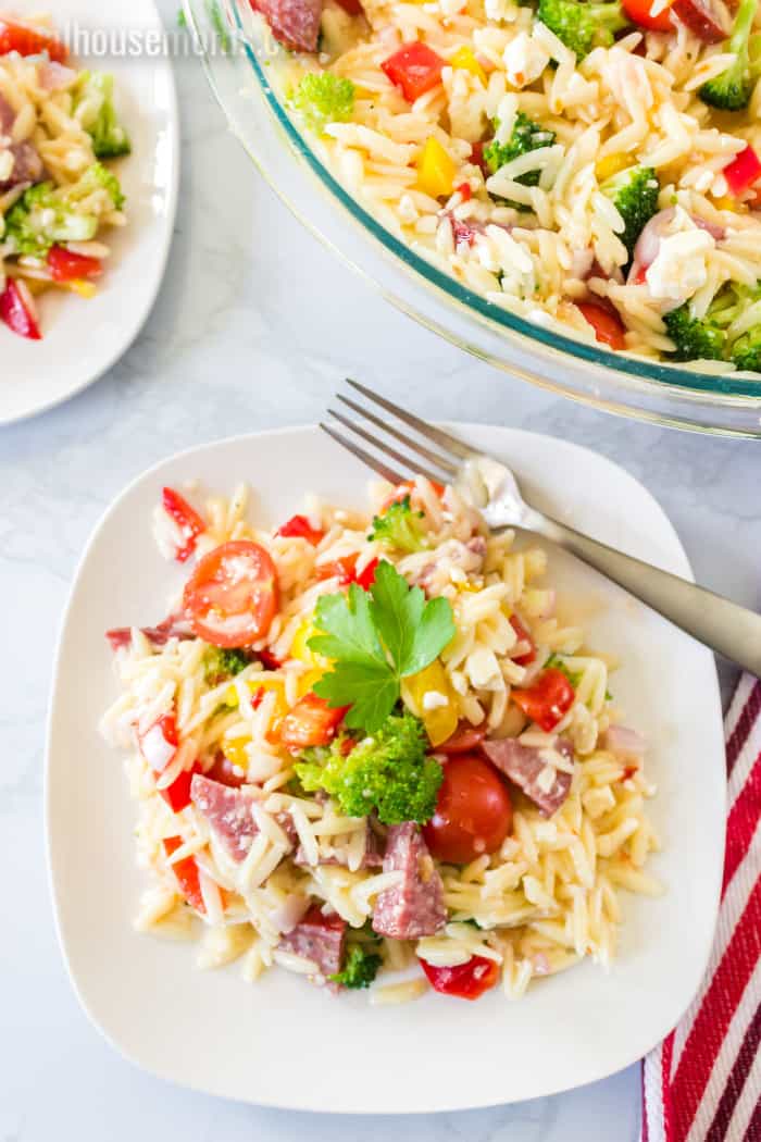 portion of orzro pasta salad one a plate with a fork