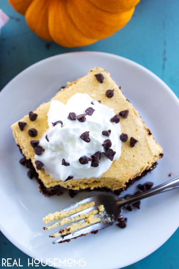 Overhead look at Pumpkin Cheesecake Brownie Bars topped with Cool Whip and chocolate chips