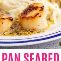 pan seared scallops with pesto cream sauce and mashed potatoes on a plate with recipe name at the bottom