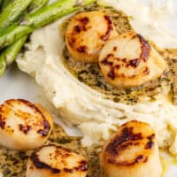 pan seared scallops with pesto cream sauce on a plate with mashed potatoes with the title of the post on top of the image in black and pink lettering