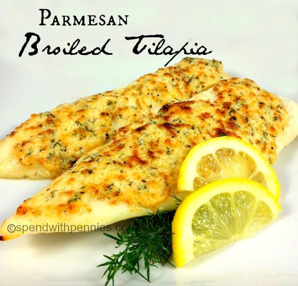 Parmesan Broiled Tilapia - Spend with Pennies