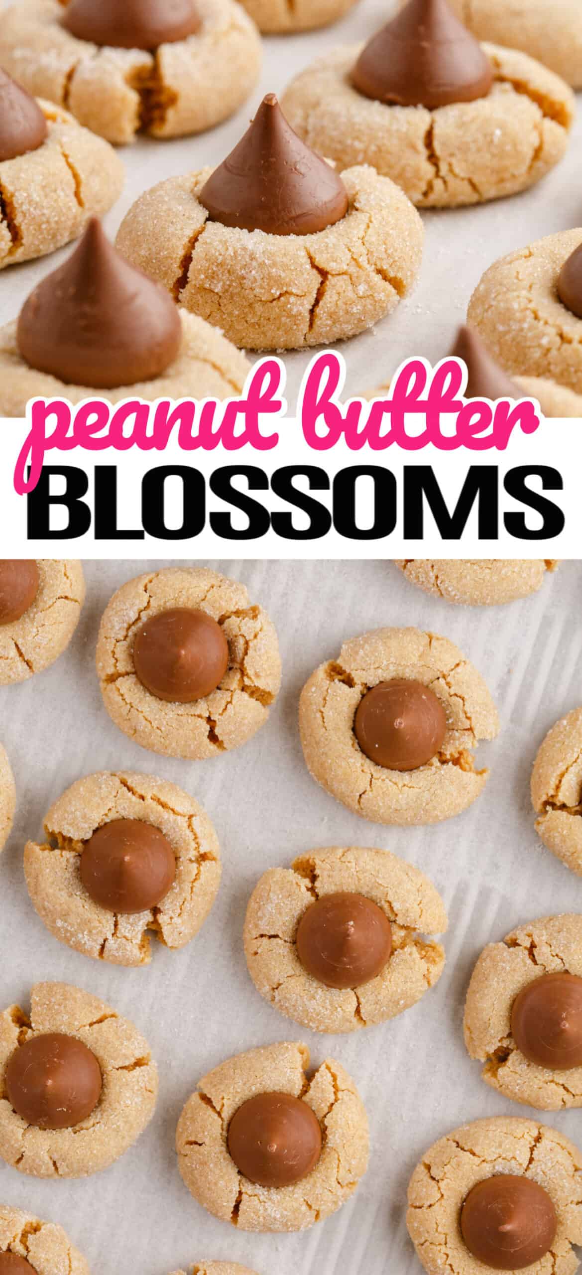 Peanut Butter Blossoms ⋆ Real Housemoms