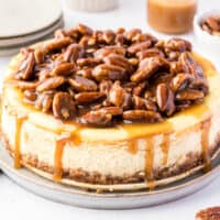 square image of a pecan pie cheesecake with caramel sauce dropping down the sides