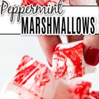 Close up of peppermint marshmallows in a bowl
