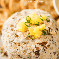Bring the tropics into your own home with this Pineapple Cheese Ball!!! Bursting with pops of pineapple, coated with coconut and almonds, this is a great crowd please party starter!