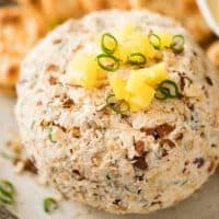 Bring the tropics into your own home with this Pineapple Cheese Ball!!! Bursting with pops of pineapple, coated with coconut and almonds, this is a great crowd please party starter!