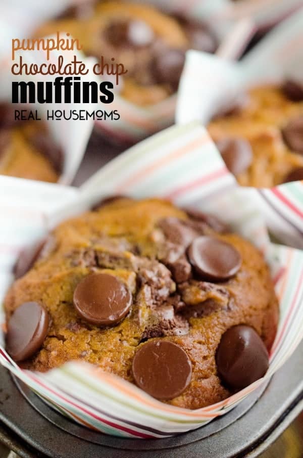 PUMPKIN CHOCOLATE CHIP MUFFINS are a fantastic breakfast idea perfect for fall! Moist pumpkin muffins are studded with dark chocolate chips for a treat you can enjoy any time of the day!