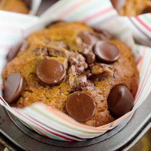 PUMPKIN CHOCOLATE CHIP MUFFINS are a fantastic breakfast idea perfect for fall! Moist pumpkin muffins are studded with dark chocolate chips for a treat you can enjoy any time of the day!