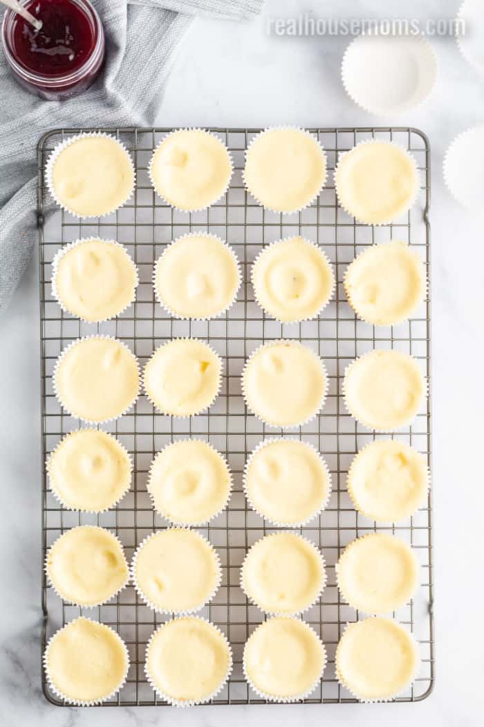 mini cheesecakes on a wire cooling rack