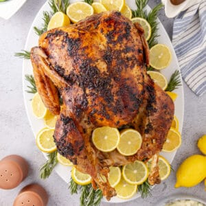 square image of a whole roast turkey on a platter with lemons and rosemary