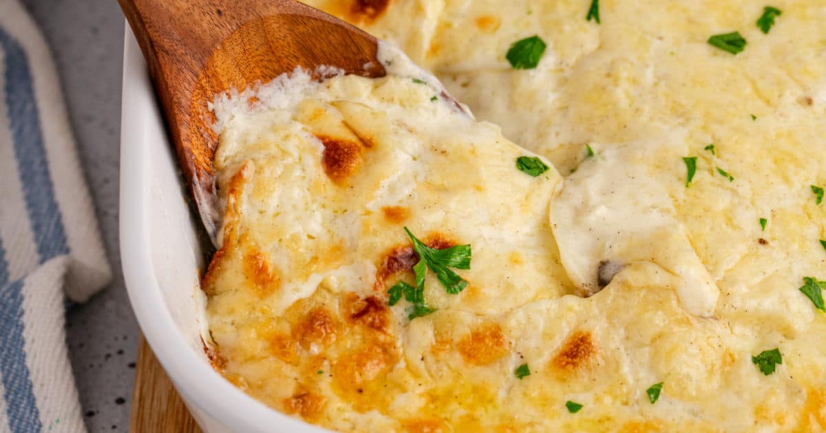 Scalloped Potatoes ⋆ Real Housemoms