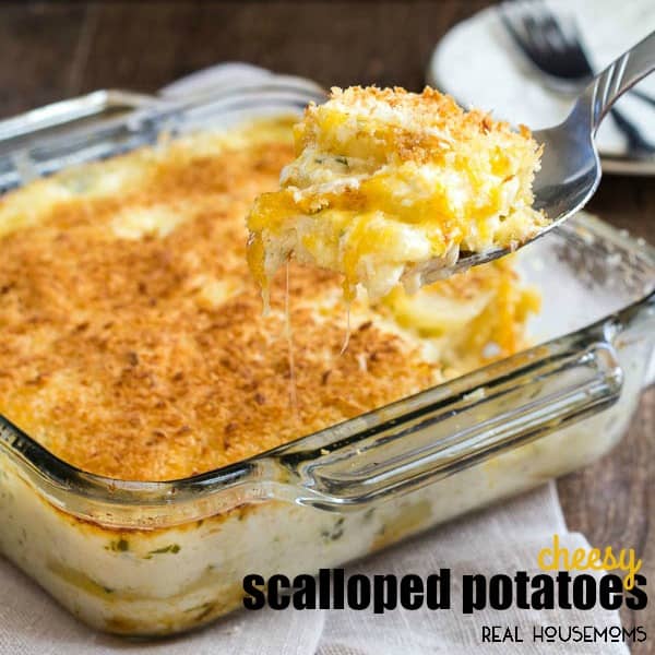 scalloped-potatoes-fb